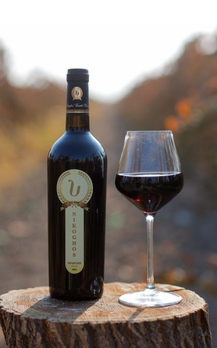 NIKOGHOS Merlot 2022 — Red Dry Wine
