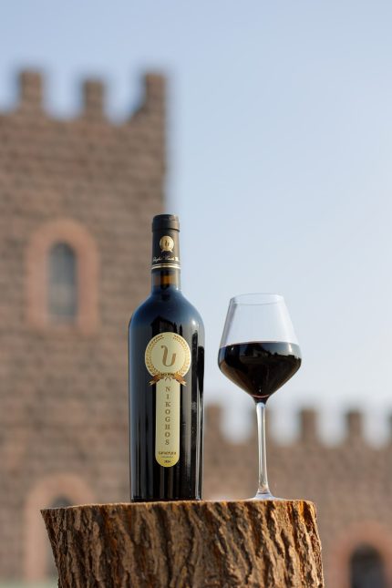 NIKOGHOS Syrah 2022 — Premium Dry Red Wine